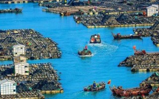 南日岛旅游攻略二日游，南日岛旅游攻略二日游