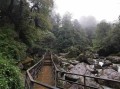 荥经县龙苍沟旅游攻略 - 雅安荥经县龙苍沟景区天气