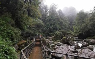 荥经县龙苍沟旅游攻略 - 雅安荥经县龙苍沟景区天气