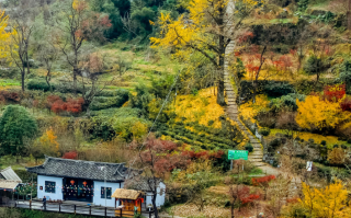 新昌外婆坑村旅游攻略，新昌外婆坑村一日游