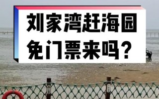虾米出行怎么停车（虾米出行充值可以退吗）