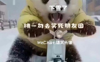 下雪出行爬山文案，下雪爬山发朋友圈句子