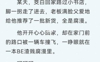 西西的出行安排（西西去日本旅游,她一共带了3000）