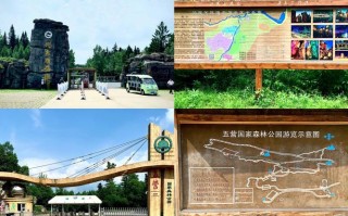 黑龙江伊春天气（黑龙江伊春天气预报15天查询系统官方网站）
