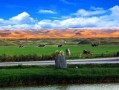 宁夏旅游攻略景点必去，宁夏旅游攻略景点必去月牙泉