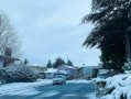 下雪天能否出行（下雪天不宜出行）