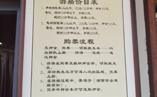 西湖出行有儿童票吗（西湖景区旅游车车票）