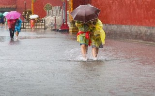 下雨了如何出行（下雨了如何出行英语作文）