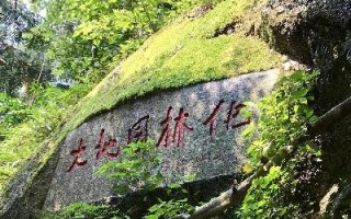 桂平天气（桂平天气预报30天气预报）