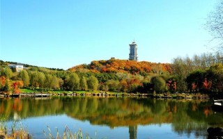 长春旅游攻略景点必去，长春旅游攻略必去景点2021