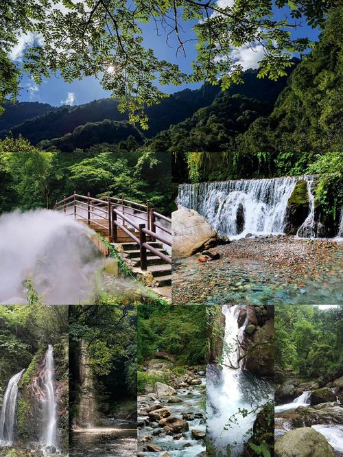 西岭雪山夏季旅游攻略（西岭雪山的旅游攻略）-第1张图片-微云百科