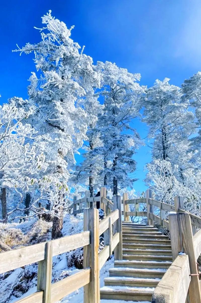西岭雪山夏季旅游攻略（西岭雪山的旅游攻略）-第5张图片-微云百科