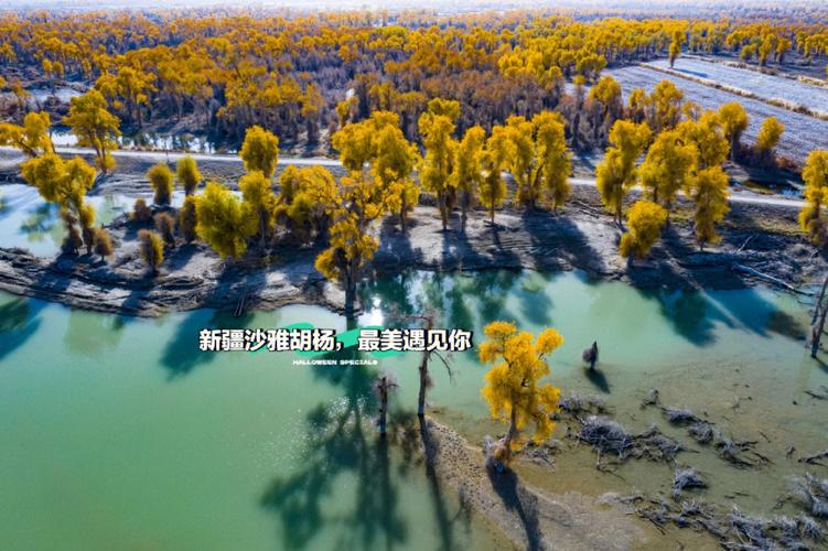 格尔木天气预报,青海格尔木天气预报-第2张图片-微云百科 格尔木天气预报,青海格尔木天气预报-第2张图片-微云百科