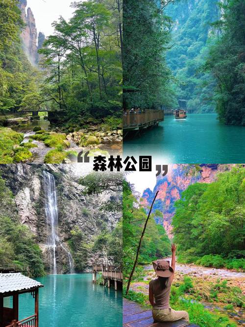 张家界旅游三天的攻略 - 张家界旅游攻略自由行三天门票多少钱-第6张图片-微云百科 张家界旅游三天的攻略 - 张家界旅游攻略自由行三天门票多少钱-第6张图片-微云百科