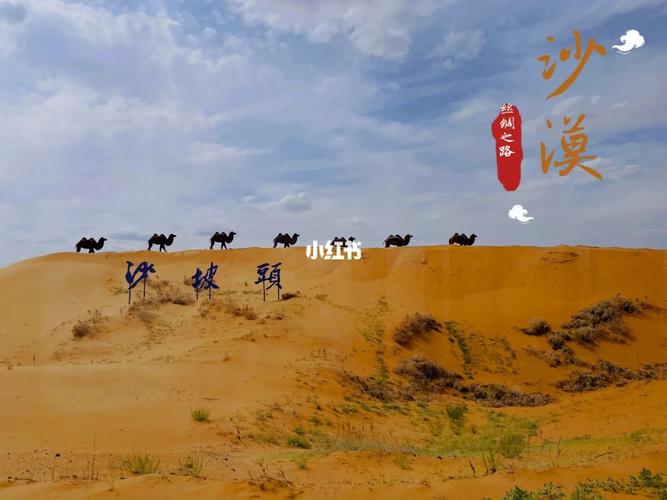 去银川沙坡头旅游攻略 - 银川沙坡头一日游必去景点-第2张图片-微云百科