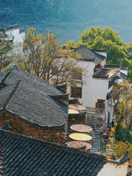 江西婺源天气预报(江西婺源天气预报一周7天)-第7张图片-微云百科 江西婺源天气预报(江西婺源天气预报一周7天)-第7张图片-微云百科