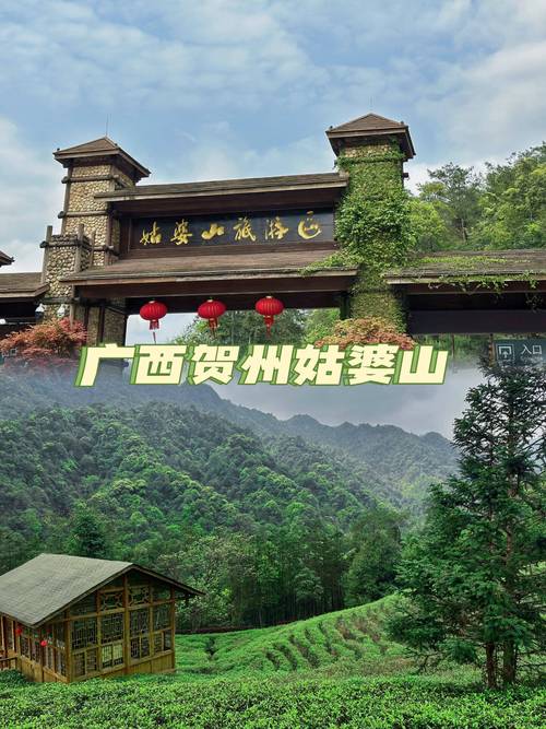 贺州旅游攻略相关推荐（贺州旅游前十景点）-第5张图片-微云百科