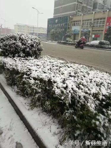 新县天气预报(新县天气预报15天)-第5张图片-微云百科 新县天气预报(新县天气预报15天)-第5张图片-微云百科