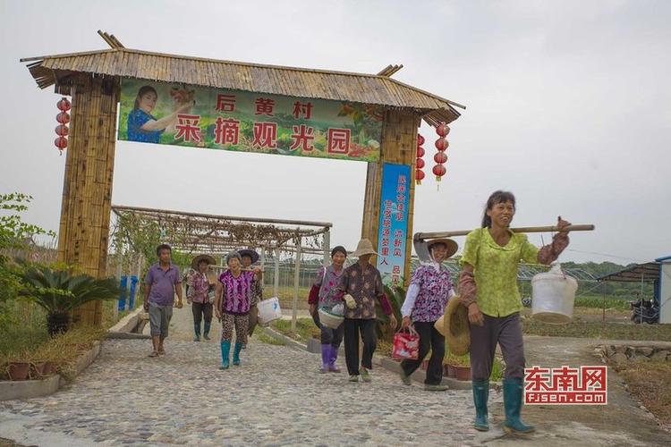 西天尾后黄村旅游攻略(西天尾后埔村全部拆了吗)-第3张图片-微云百科 西天尾后黄村旅游攻略(西天尾后埔村全部拆了吗)-第3张图片-微云百科