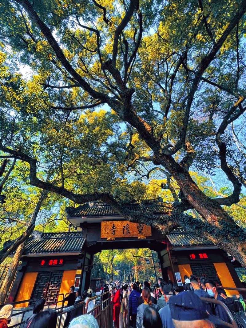 飞来峰灵隐寺旅游攻略(飞来峰灵隐寺旅游攻略地图)-第8张图片-微云百科 飞来峰灵隐寺旅游攻略(飞来峰灵隐寺旅游攻略地图)-第8张图片-微云百科