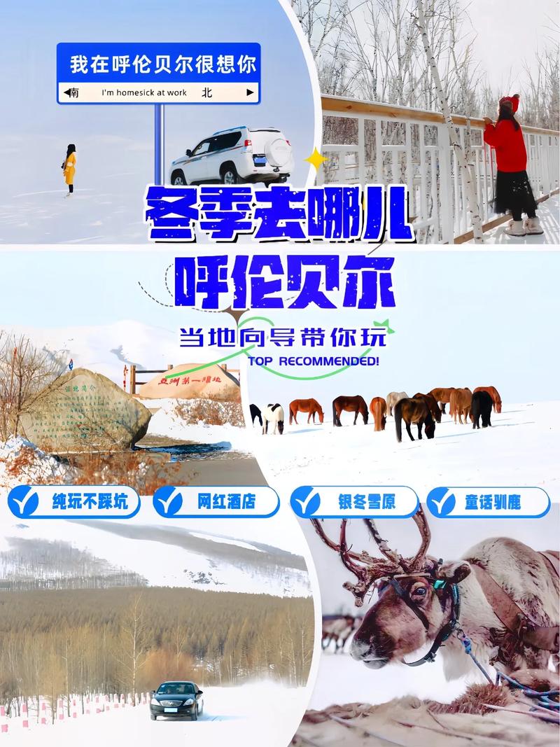 冬季呼伦贝尔旅游攻略，呼伦贝尔冬天去哪里玩-第5张图片-微云百科
