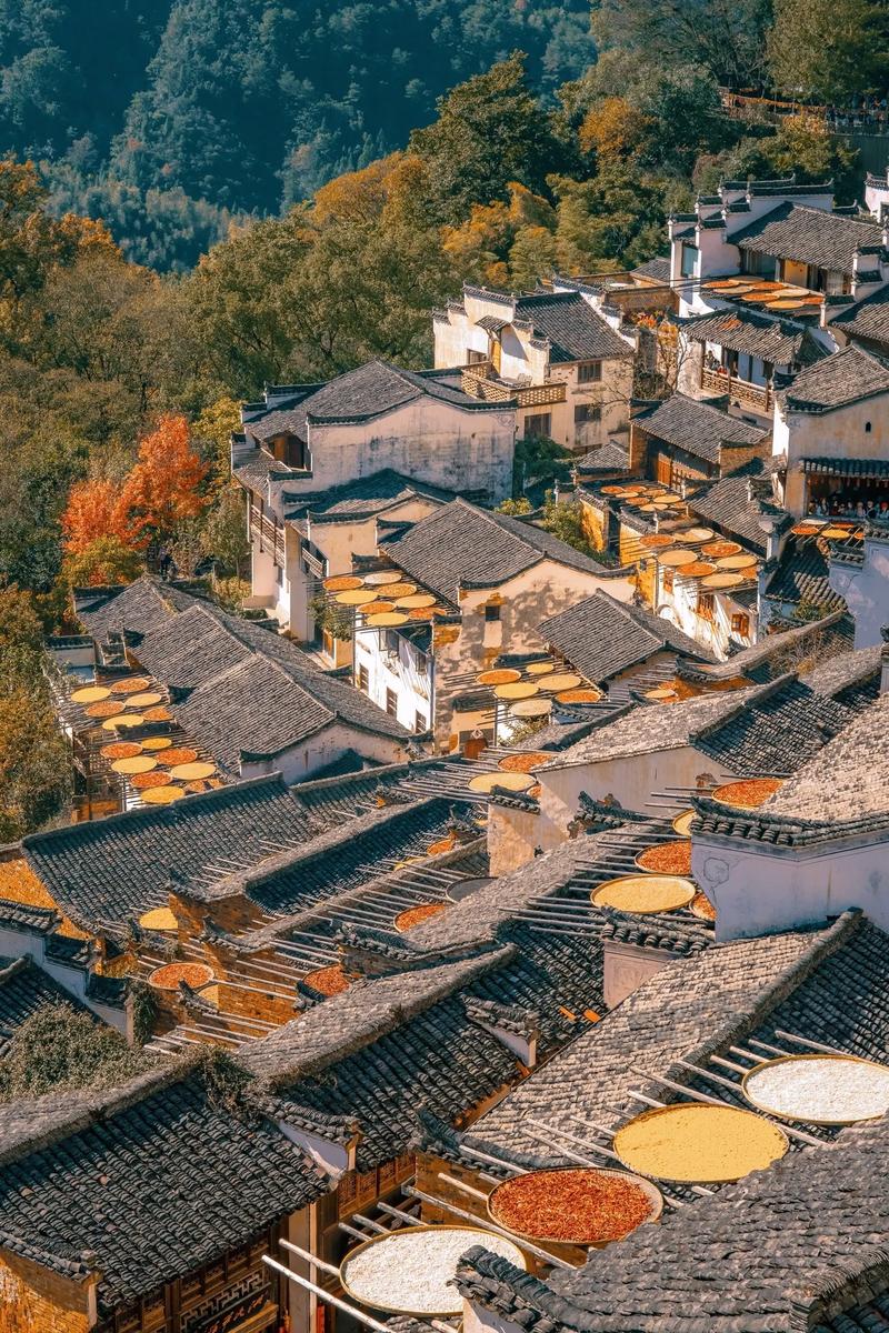 江西婺源自驾旅游攻略(江西婺源自驾旅游攻略一日游)-第2张图片-微云百科 江西婺源自驾旅游攻略(江西婺源自驾旅游攻略一日游)-第2张图片-微云百科