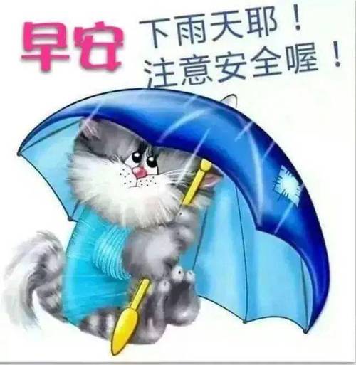 下雨出行祝福自己(下雨出行祝福自己的话)-第6张图片-微云百科 下雨出行祝福自己(下雨出行祝福自己的话)-第6张图片-微云百科