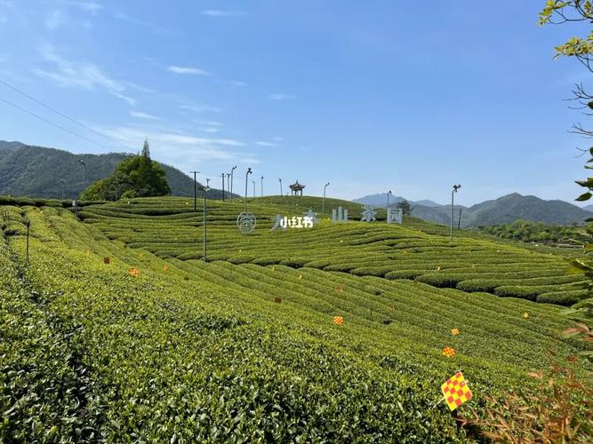 涪陵大木天气预报 - 涪陵大木天气预报7天查询-第2张图片-微云百科 涪陵大木天气预报 - 涪陵大木天气预报7天查询-第2张图片-微云百科