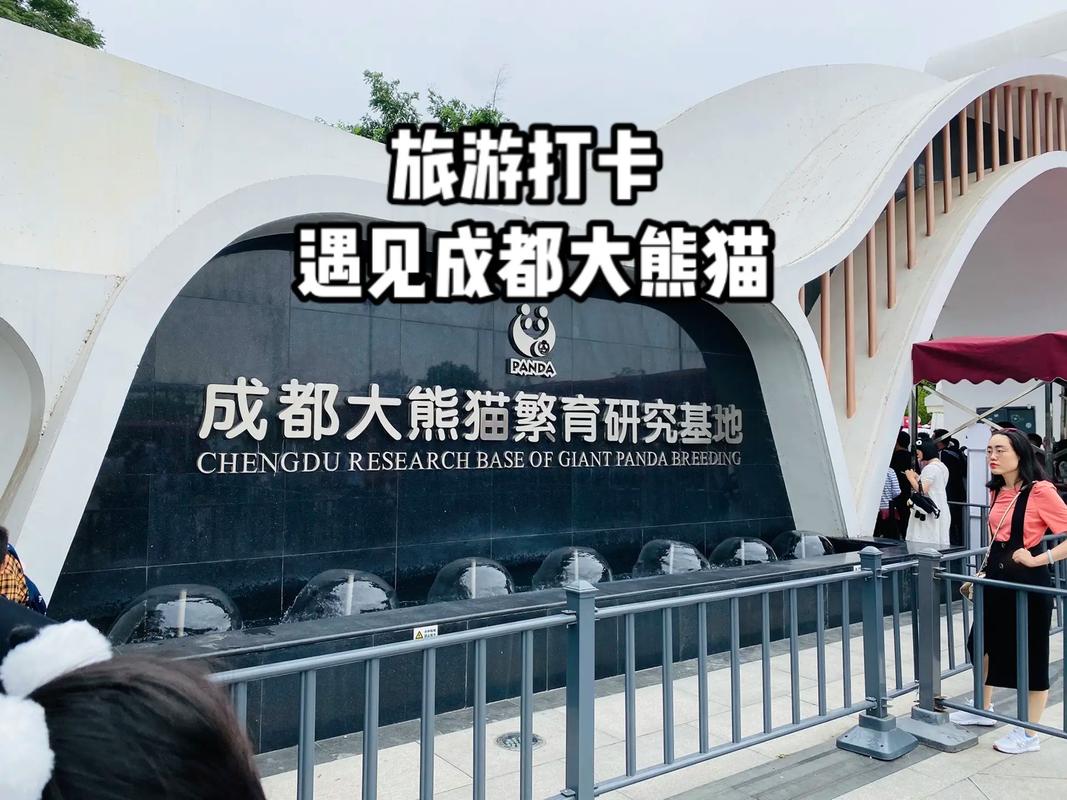成都熊猫基地旅游攻略(成都熊猫基地旅游攻略路线图)-第3张图片-微云百科 成都熊猫基地旅游攻略(成都熊猫基地旅游攻略路线图)-第3张图片-微云百科