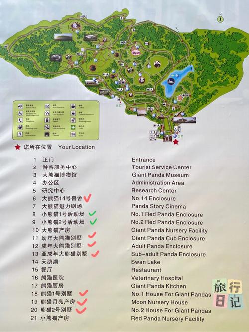 成都熊猫基地旅游攻略(成都熊猫基地旅游攻略路线图)-第6张图片-微云百科 成都熊猫基地旅游攻略(成都熊猫基地旅游攻略路线图)-第6张图片-微云百科