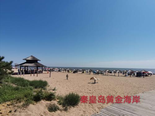 昌黎黄金海岸旅游攻略,昌黎黄金海岸游玩攻略自驾-第4张图片-微云百科 昌黎黄金海岸旅游攻略,昌黎黄金海岸游玩攻略自驾-第4张图片-微云百科
