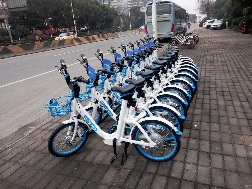 西双版纳出行工具 - 西双版纳出行公众号-第1张图片-微云百科