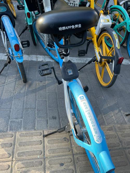 西双版纳出行工具 - 西双版纳出行公众号-第2张图片-微云百科