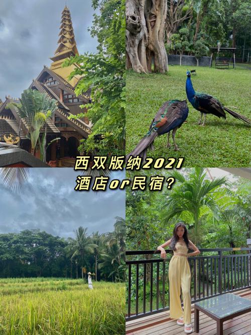 西双版纳冬天旅游攻略,西双版纳冬天去-第1张图片-微云百科 西双版纳冬天旅游攻略,西双版纳冬天去-第1张图片-微云百科