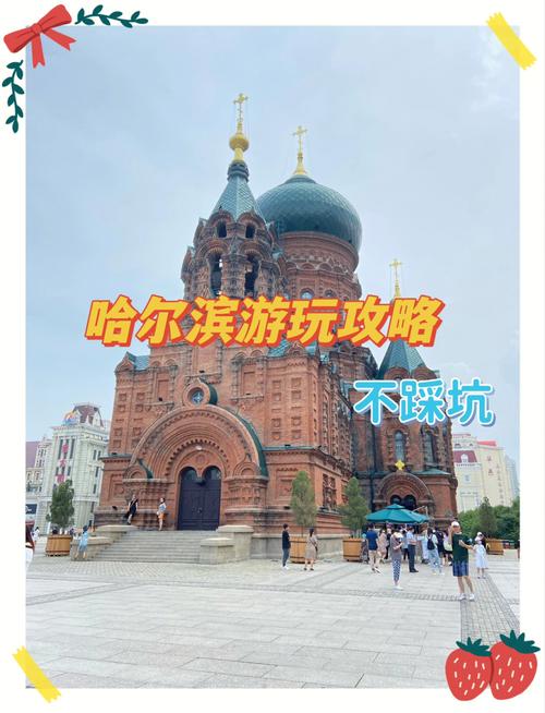 西宁到哈尔滨出行（西宁到哈尔滨出行最新政策）-第2张图片-微云百科