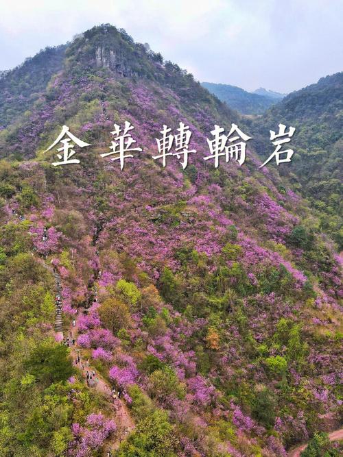 兰溪天气（兰溪天气15天）-第3张图片-微云百科
