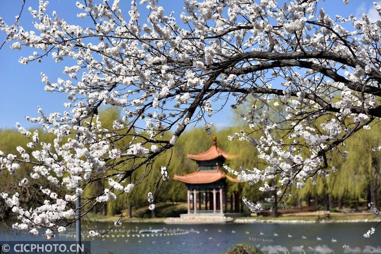 古县天气预报(古县天气预报40天)-第4张图片-微云百科 古县天气预报(古县天气预报40天)-第4张图片-微云百科