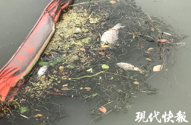 山东省菏泽市牡丹区天气,山东省菏泽市牡丹区天气预报15天查询-第2张图片-微云百科 山东省菏泽市牡丹区天气,山东省菏泽市牡丹区天气预报15天查询-第2张图片-微云百科