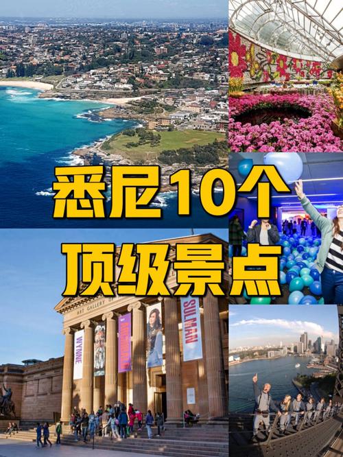 悉尼游艇出行要求，坐船去悉尼-第6张图片-微云百科
