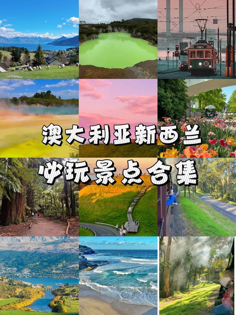 悉尼游艇出行要求，坐船去悉尼-第7张图片-微云百科