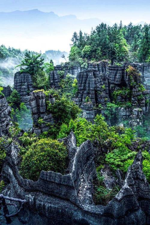 湖北恩施自助旅游攻略,湖北恩施旅游攻略自助游-第8张图片-微云百科 湖北恩施自助旅游攻略,湖北恩施旅游攻略自助游-第8张图片-微云百科