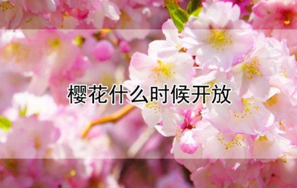 河津天气预报(韩城天气预报)-第5张图片-微云百科 河津天气预报(韩城天气预报)-第5张图片-微云百科