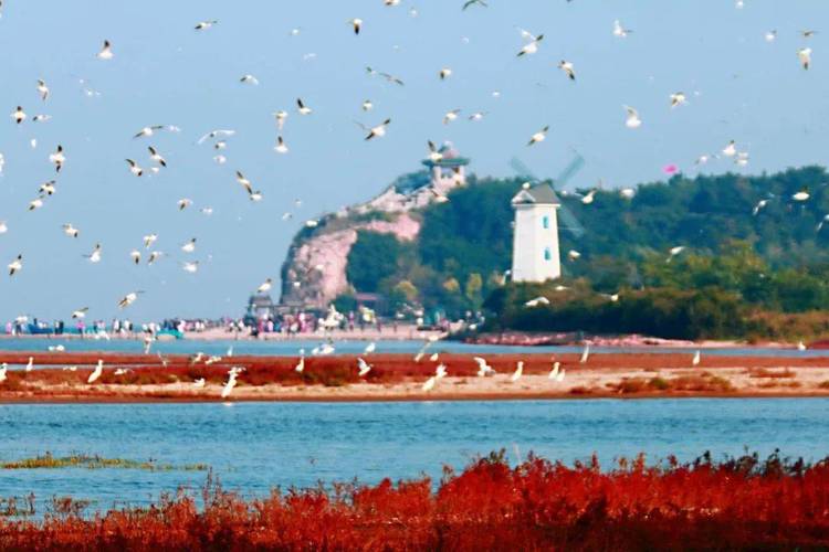 11月北戴河旅游攻略,11月北戴河天气适合游玩吗?-第5张图片-微云百科 11月北戴河旅游攻略,11月北戴河天气适合游玩吗?-第5张图片-微云百科