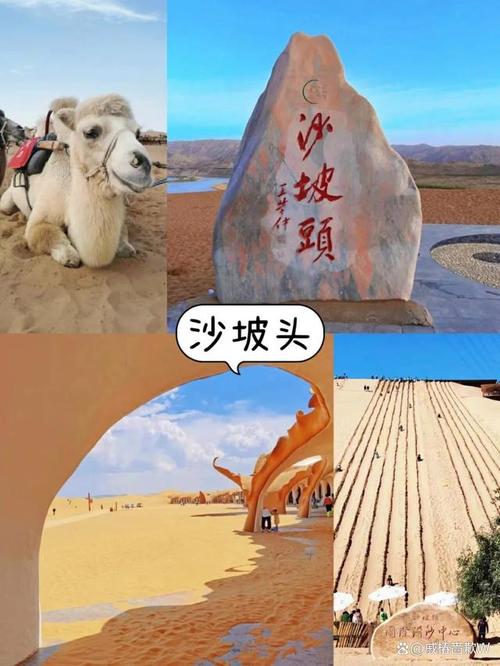 银川旅游攻略景点必去 - 银川旅游攻略景点必去一天游-第4张图片-微云百科