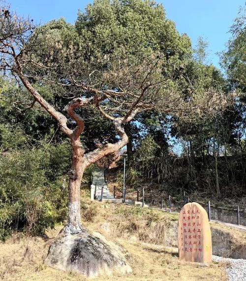 宁陕天气 - 宁陕天气预报一周的天气查询表-第3张图片-微云百科 宁陕天气 - 宁陕天气预报一周的天气查询表-第3张图片-微云百科
