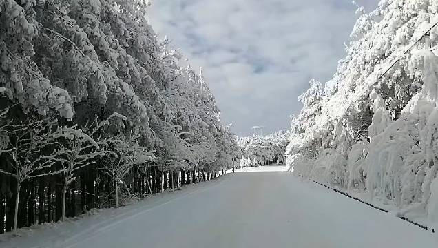 昭通天气(昭通天气预报30天查询百度)-第4张图片-微云百科 昭通天气(昭通天气预报30天查询百度)-第4张图片-微云百科