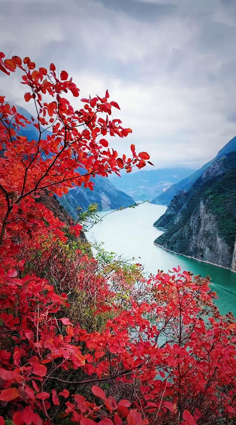 奉节县天气预报(奉节县天气预报24小时)-第2张图片-微云百科 奉节县天气预报(奉节县天气预报24小时)-第2张图片-微云百科
