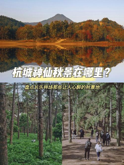 长乐天气 - 长乐天气24小时预报-第3张图片-微云百科 长乐天气 - 长乐天气24小时预报-第3张图片-微云百科