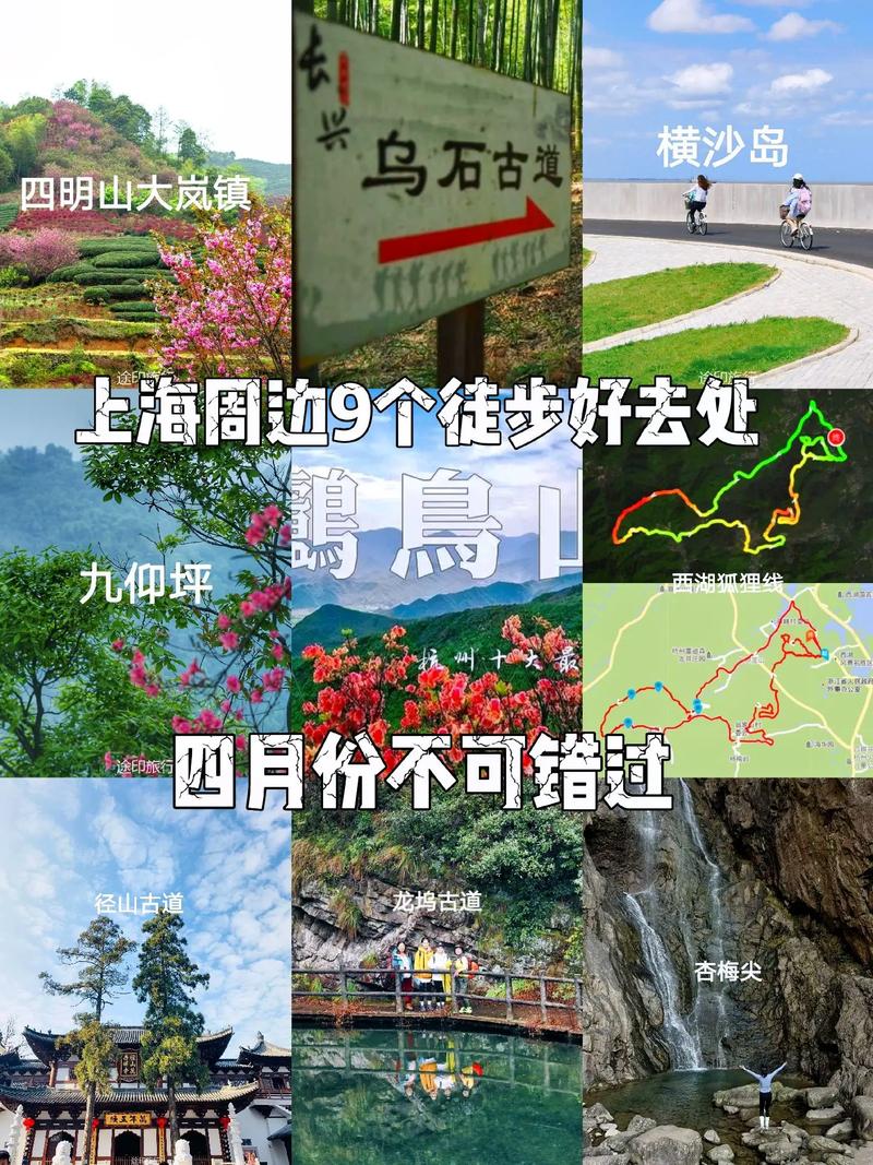 天目山天气预报 - 临安天目山天气预报-第4张图片-微云百科