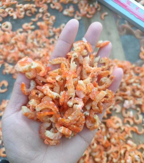 虾米出行不在服务区，虾米出行覆盖城市-第1张图片-微云百科